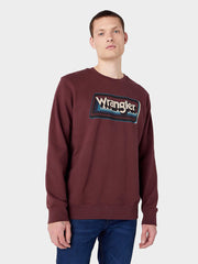 Bluza Męska Graphic Crew Brown 112341238 W6E9016299