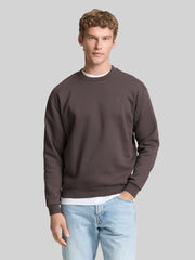 Męska Bluza Tom Tailor Crewneck Sweatshirt Pavement Grey 1045957 11587