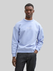 Męska Bluza Tom Tailor Relaxed Printed Crewneck Brunnera Blue 1045579 11486