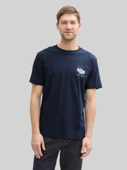 Dwupak Męska Koszulka Tom Tailor Doublepack T-shirt Light Powder Blue 1048076 21068