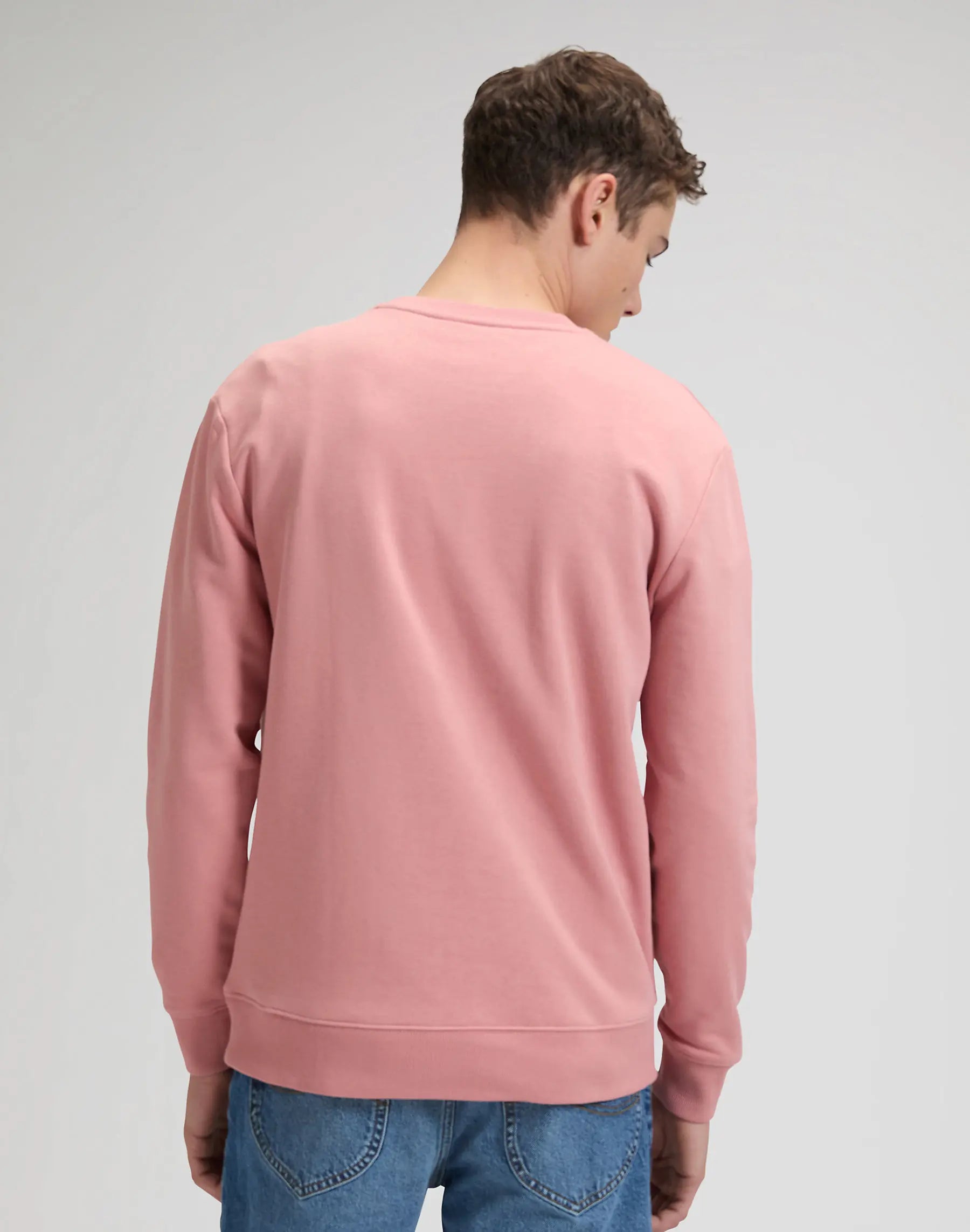 MESKA BLUZA LEE PATCH CREW SWS MALLORY 112376926