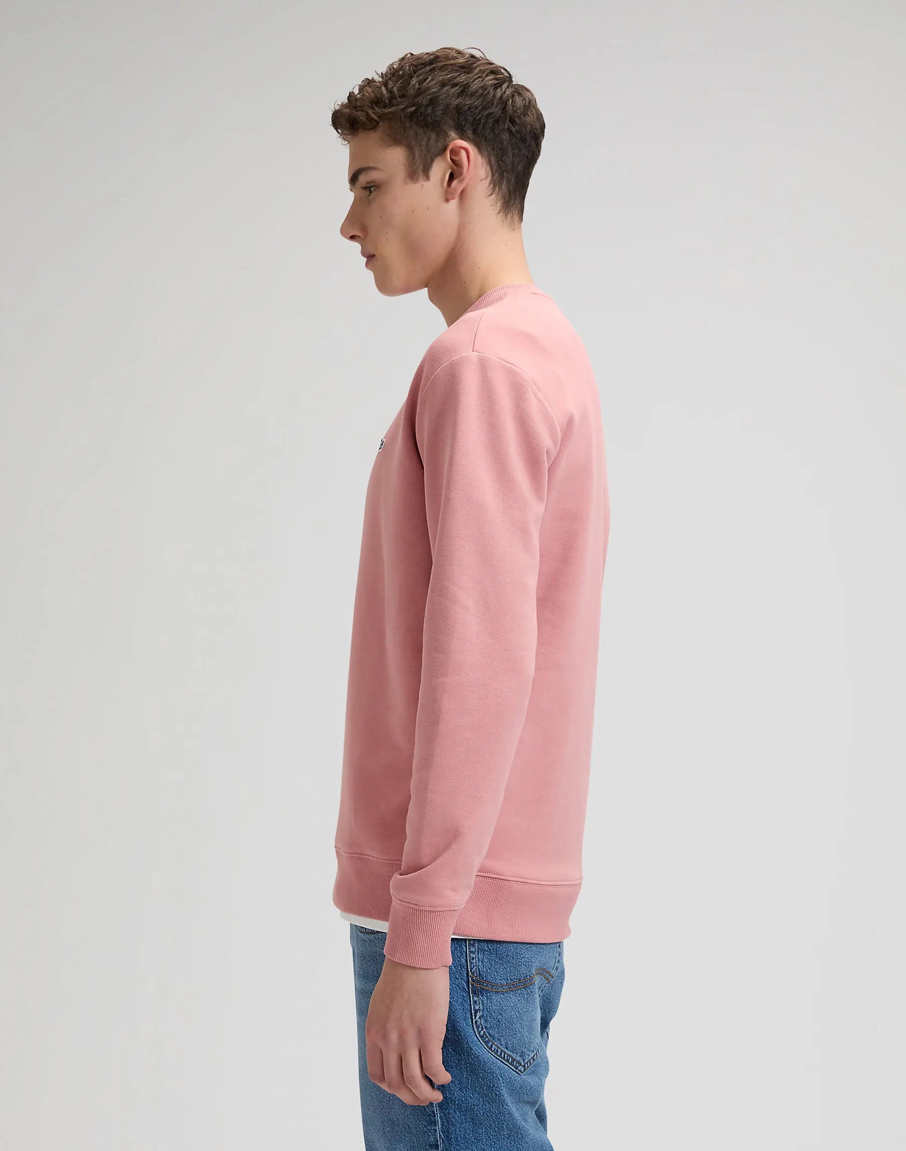 MESKA BLUZA LEE PATCH CREW SWS MALLORY 112376926