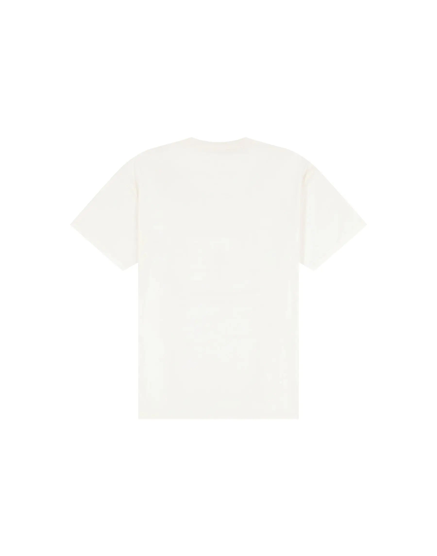Męska Koszulka Wrangler Americana Tee Worn White 112378505