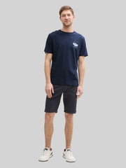 Dwupak Męska Koszulka Tom Tailor Doublepack T-shirt Light Powder Blue 1048076 21068
