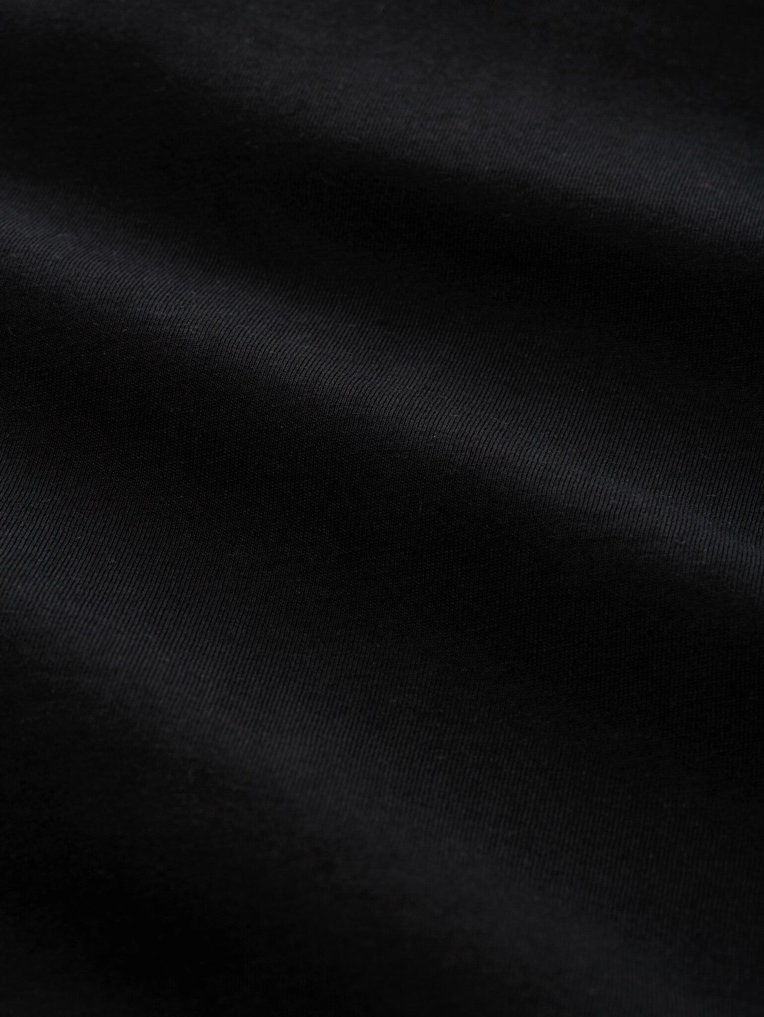 Męski Longsleeve Tom Tailor Basic Black 1048902 29999