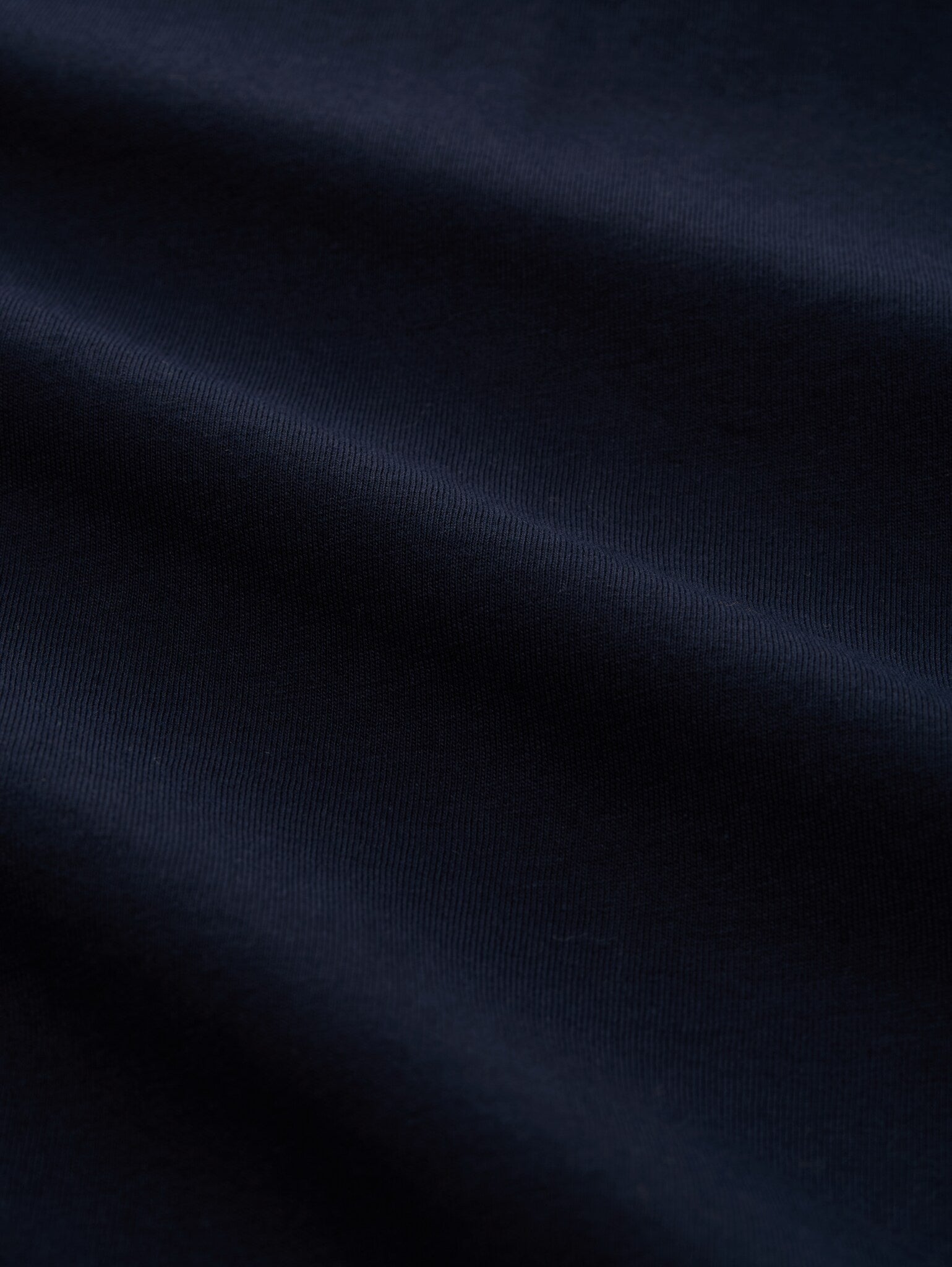 Męski Longsleeve Tom Tailor Basic Sky Captain Blue 1048902 10668
